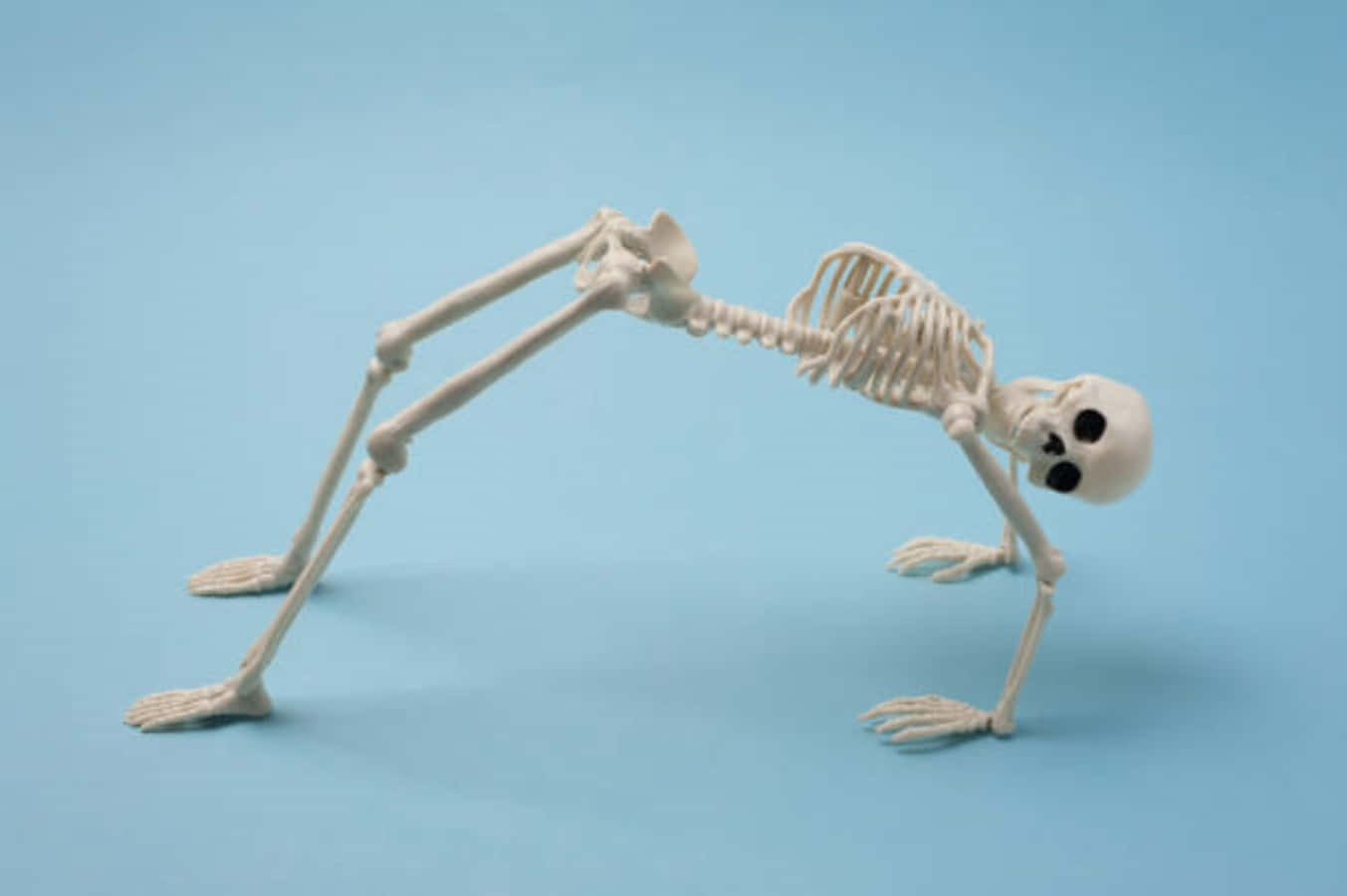 skeleton Blank Meme Template