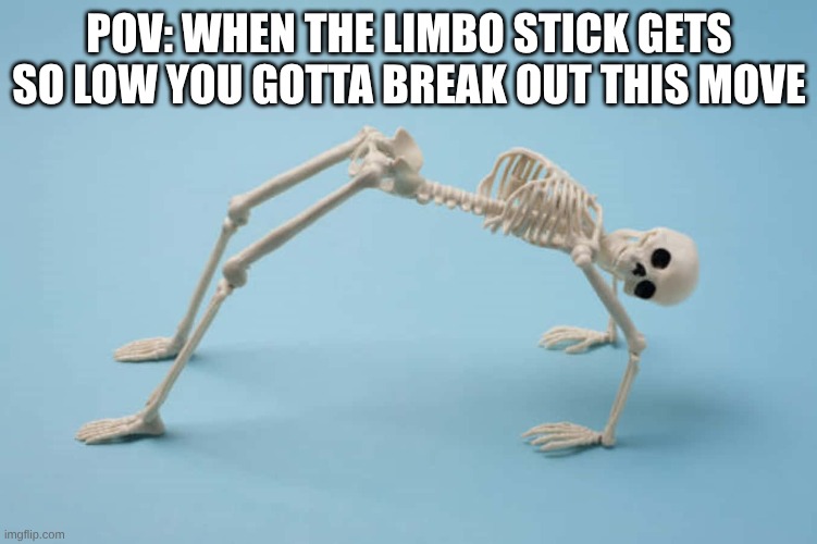 skeleton | POV: WHEN THE LIMBO STICK GETS SO LOW YOU GOTTA BREAK OUT THIS MOVE | image tagged in skeleton | made w/ Imgflip meme maker