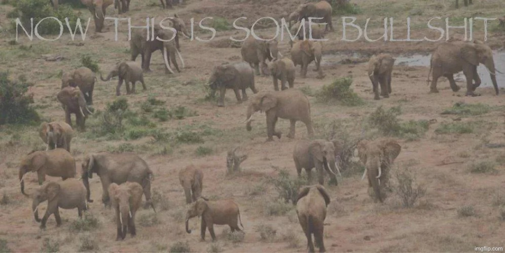 now this is some bullshit Blank Meme Template