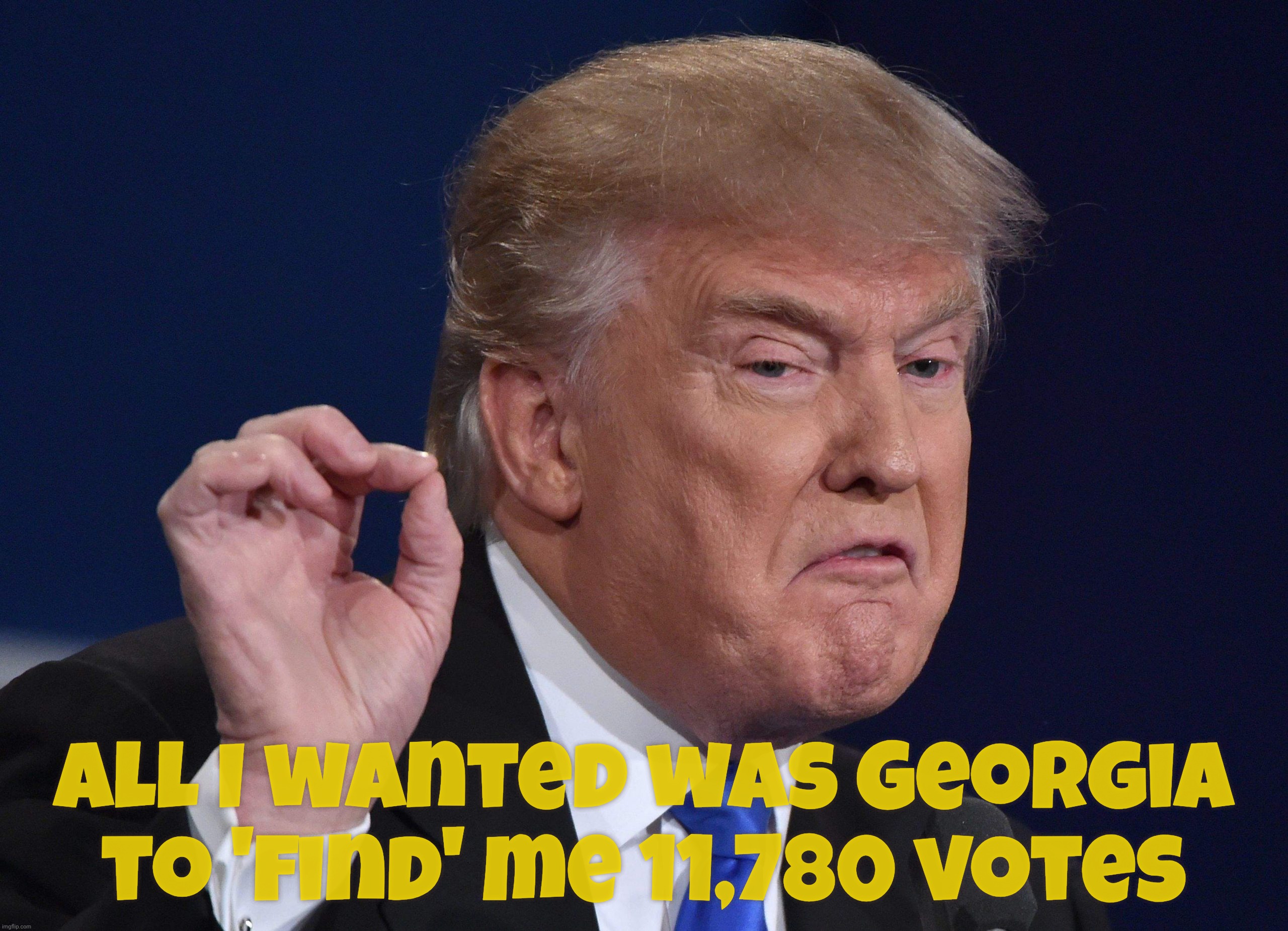 All I wanted was Georgia to 'find' me 11,780 votes | made w/ Imgflip meme maker