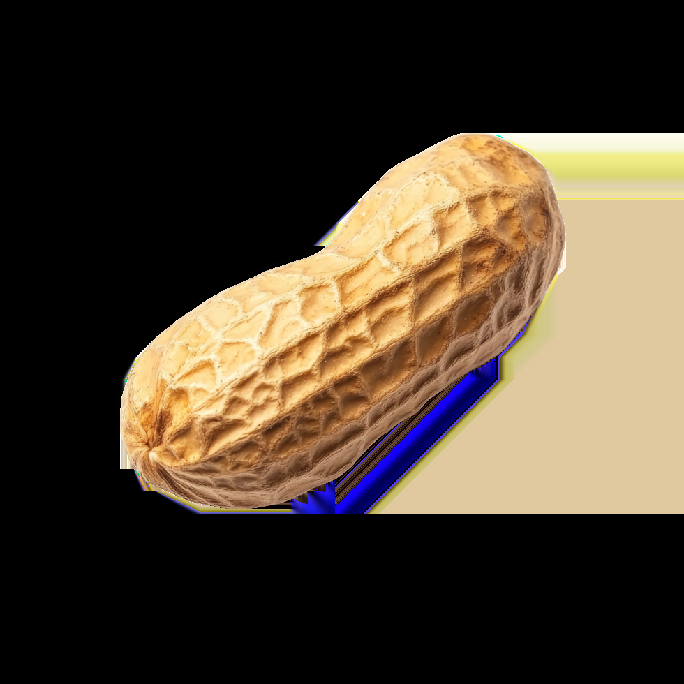 deez nuts Blank Meme Template