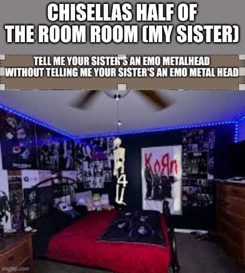 CHISELLAS HALF OF THE ROOM ROOM (MY SISTER) | image tagged in tell me without telling me add image below | made w/ Imgflip meme maker