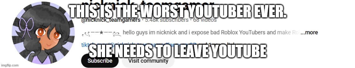 I hate this YouTuber | image tagged in fun,hate,ban | made w/ Imgflip meme maker