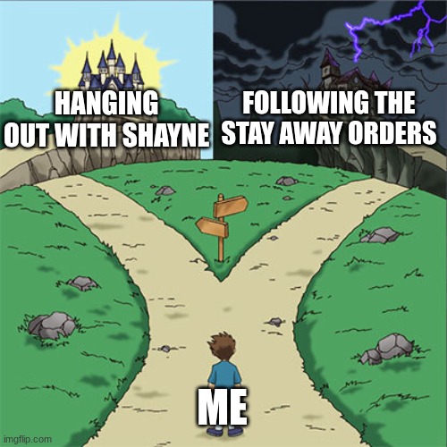 Two Paths | FOLLOWING THE STAY AWAY ORDERS; HANGING OUT WITH SHAYNE; ME | image tagged in two paths | made w/ Imgflip meme maker