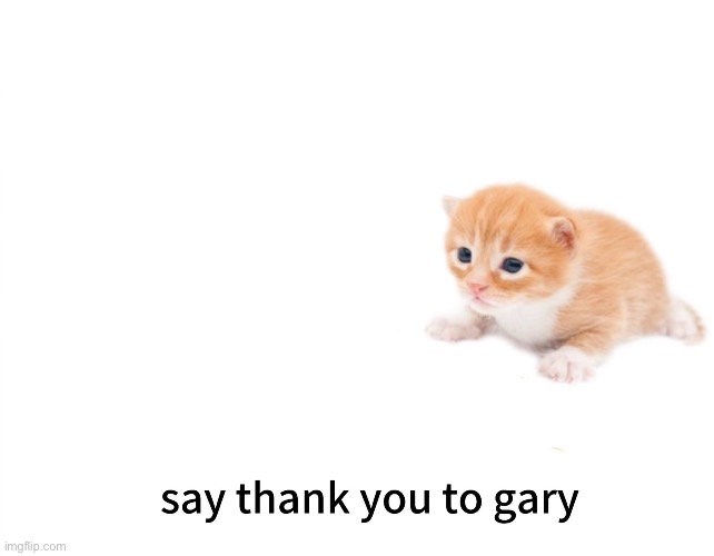 Thank You Gary | image tagged in thank you gary,msmg | made w/ Imgflip meme maker