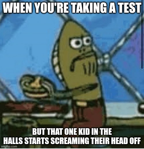 fish looking left | WHEN YOU'RE TAKING A TEST; BUT THAT ONE KID IN THE HALLS STARTS SCREAMING THEIR HEAD OFF | image tagged in fish looking left | made w/ Imgflip meme maker