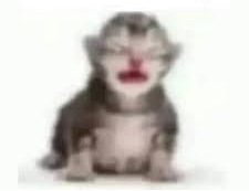 el que esta chinge y chinge cuando Blank Meme Template