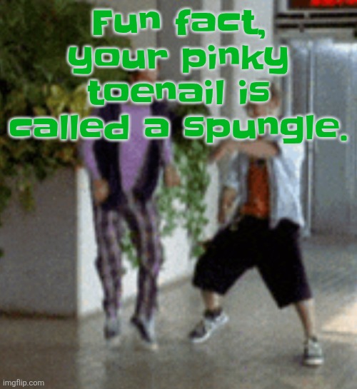 The Caesar salad was also invented in mexico | Fu​​n fact, your pinky toenail is called a spungle. | image tagged in breaking it down | made w/ Imgflip meme maker