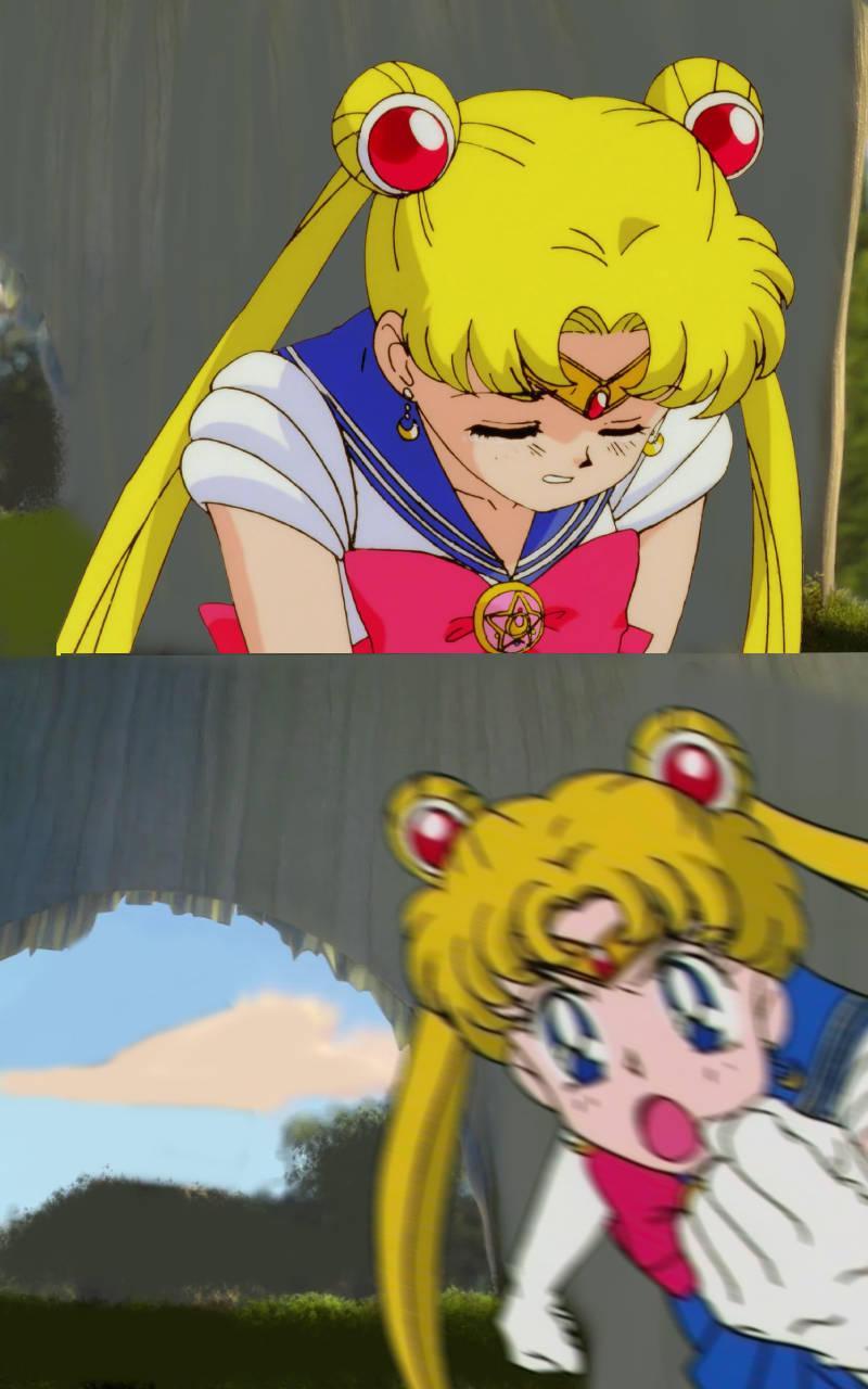 Usagi calls out who ? Blank Meme Template