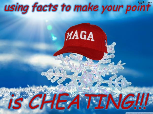 snowflake | using facts to make your point is CHEATING!!! | image tagged in snowflake | made w/ Imgflip meme maker