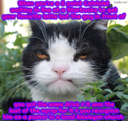 Sorry Calvinist, God Predestined the Wesleyan to have this drink | image tagged in calvinism,calvinist memes,anti calvinism,reformed theology,wesleyan,arminian | made w/ Imgflip meme maker