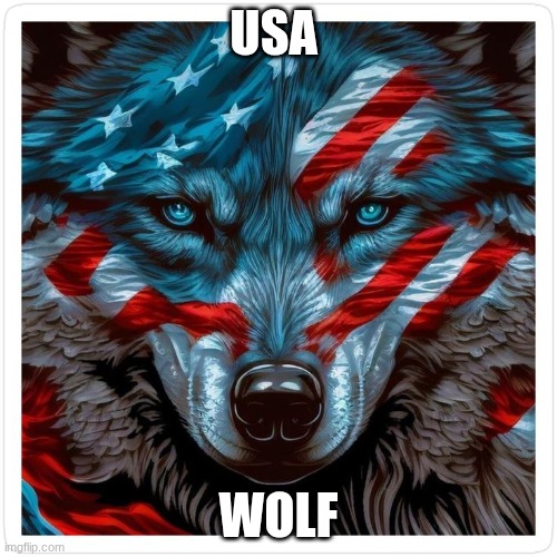 USA | USA; WOLF | image tagged in photos | made w/ Imgflip meme maker