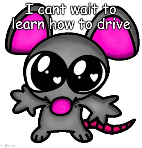 me :3 | I cant wait to learn how to drive | image tagged in me 3 | made w/ Imgflip meme maker