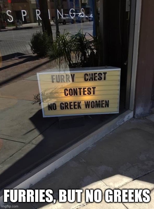 Greek | FURRIES, BUT NO GREEKS | image tagged in greek,women,furry,contest | made w/ Imgflip meme maker