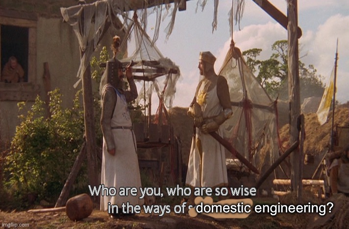 Who are you, so wise In the ways of science. | domestic engineering? | image tagged in who are you so wise in the ways of science | made w/ Imgflip meme maker