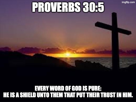 CROSS | PROVERBS 30:5; EVERY WORD OF GOD IS PURE:
HE IS A SHIELD UNTO THEM THAT PUT THEIR TRUST IN HIM. | image tagged in cross | made w/ Imgflip meme maker