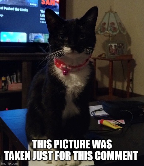 THIS PICTURE WAS TAKEN JUST FOR THIS COMMENT | made w/ Imgflip meme maker