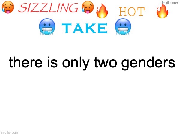 sizzling hot take | there is only two genders | image tagged in sizzling hot take | made w/ Imgflip meme maker