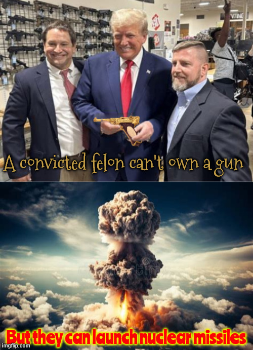 The mentally ill shouldn't have nuclear weapons | image tagged in the mentally ill shouldn't have nuclear weapons,trump is a convicted felon,nuclear football folly,wwiii,maga meltdown | made w/ Imgflip meme maker