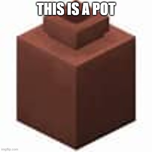 pot | THIS IS A POT | image tagged in i hate that pot | made w/ Imgflip meme maker