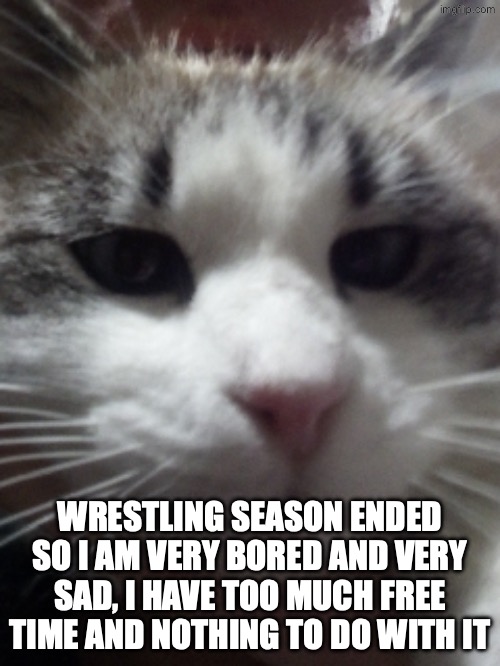 Sour Hart announcement template | WRESTLING SEASON ENDED SO I AM VERY BORED AND VERY SAD, I HAVE TOO MUCH FREE TIME AND NOTHING TO DO WITH IT | image tagged in sour hart announcement template | made w/ Imgflip meme maker
