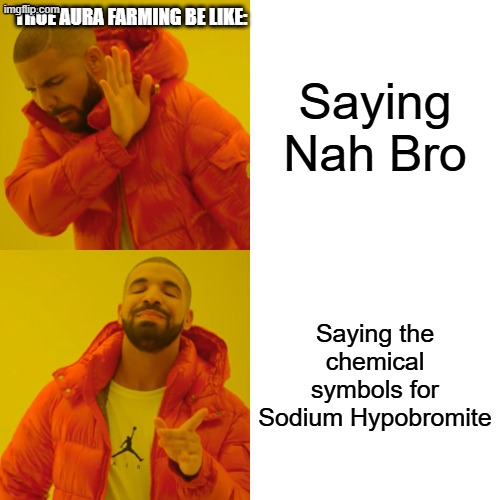 Sodium Hypobromite | TRUE AURA FARMING BE LIKE:; Saying Nah Bro; Saying the chemical symbols for Sodium Hypobromite | image tagged in memes,drake hotline bling | made w/ Imgflip meme maker