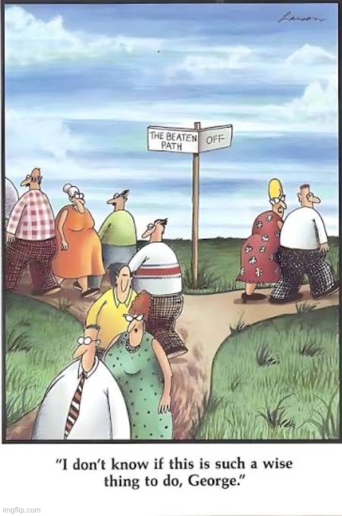 It might turn out okay… | image tagged in the far side,comics,off the beaten path,wise or not wise | made w/ Imgflip meme maker