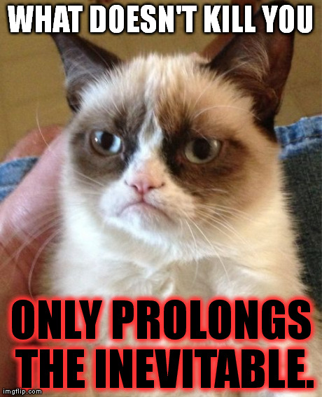 It's true. | WHAT DOESN'T KILL YOU ONLY PROLONGS THE INEVITABLE. | image tagged in memes,grumpy cat | made w/ Imgflip meme maker