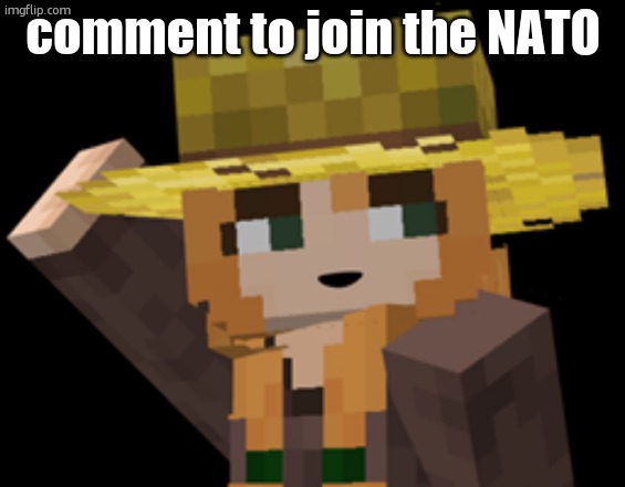 minecraft female farmer villager | comment to join the NATO | image tagged in minecraft female farmer villager | made w/ Imgflip meme maker
