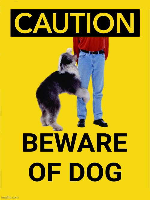 image tagged in bad dog,caution sign | made w/ Imgflip meme maker