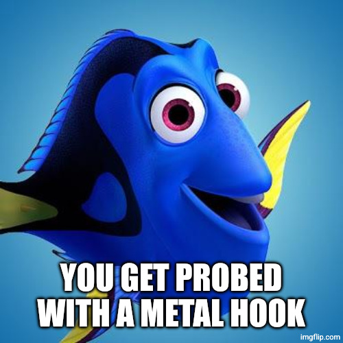 Dory from Finding Nemo | YOU GET PROBED WITH A METAL HOOK | image tagged in dory from finding nemo | made w/ Imgflip meme maker