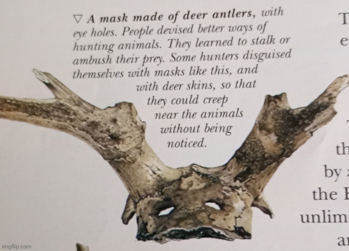 Expert camouflage! | image tagged in animals,camouflage,deer,genius,humans,prehistory | made w/ Imgflip meme maker