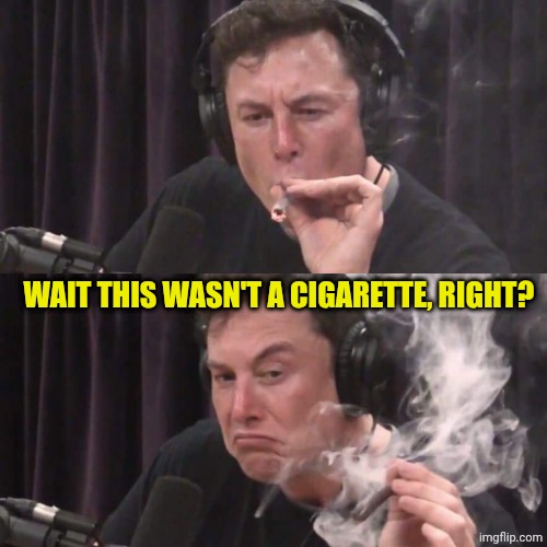 Elon Musk Weed | WAIT THIS WASN'T A CIGARETTE, RIGHT? | image tagged in elon musk weed | made w/ Imgflip meme maker