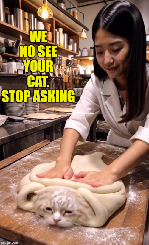 chicken meow mien | WE NO SEE YOUR CAT. STOP ASKING | image tagged in cat,asian,cat memes,racism,stereotype,pets | made w/ Imgflip meme maker