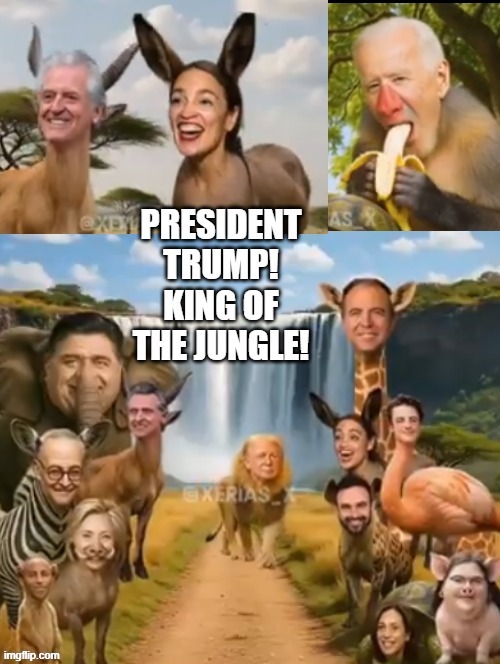 Trump King of the jungle!! | image tagged in jungle | made w/ Imgflip meme maker
