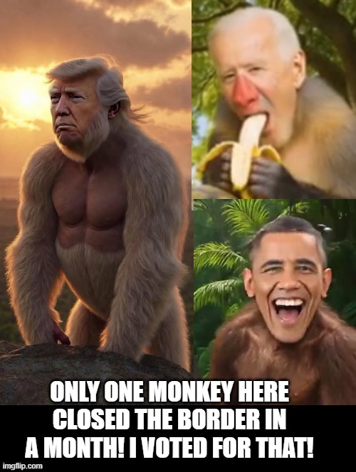 Which monkey closed the border in a month? | ONLY ONE MONKEY HERE CLOSED THE BORDER IN A MONTH! I VOTED FOR THAT! | image tagged in the scroll of truth | made w/ Imgflip meme maker