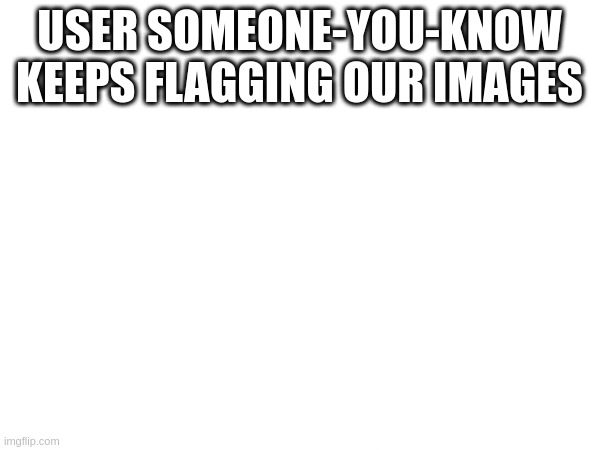 USER SOMEONE-YOU-KNOW KEEPS FLAGGING OUR IMAGES | made w/ Imgflip meme maker