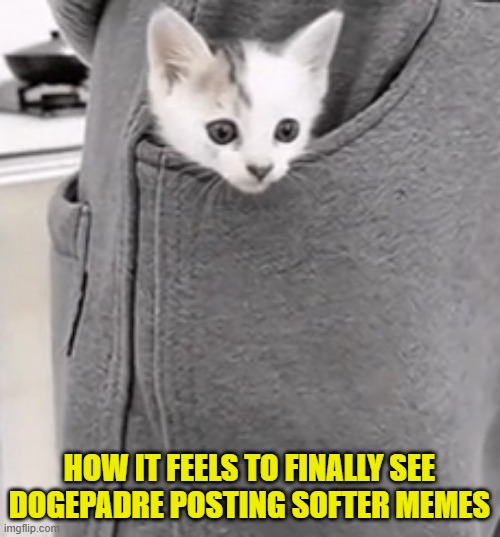 HOW IT FEELS TO FINALLY SEE DOGEPADRE POSTING SOFTER MEMES | made w/ Imgflip meme maker