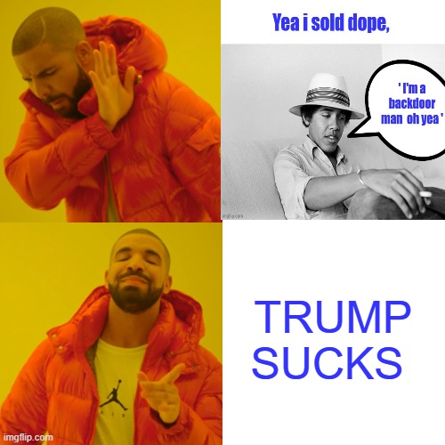 TRUMP SUCKS | image tagged in memes,drake hotline bling | made w/ Imgflip meme maker