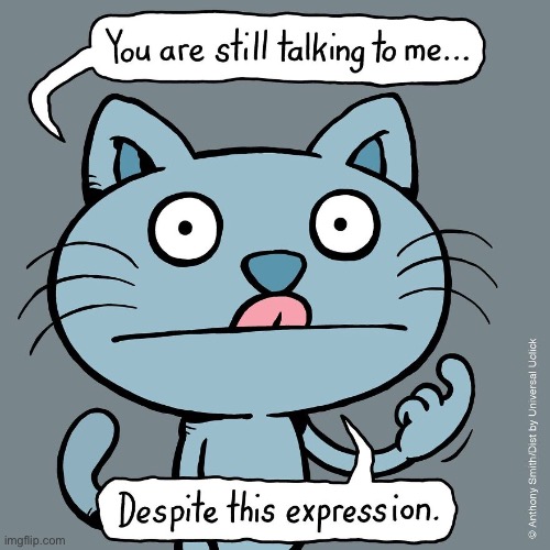 Cattitude | image tagged in cats,comics,cattitude,still talking,not interested | made w/ Imgflip meme maker