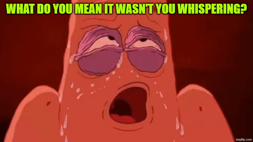 Patrick sweats | WHAT DO YOU MEAN IT WASN'T YOU WHISPERING? | image tagged in patrick sweats | made w/ Imgflip meme maker