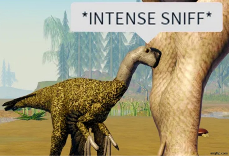 Intense sniff | image tagged in intense sniff | made w/ Imgflip meme maker