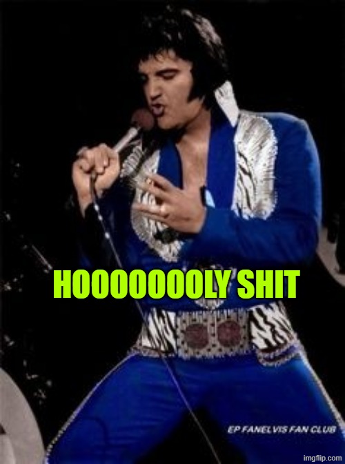Elvis presley  | HOOOOOOOLY SHIT | image tagged in elvis presley | made w/ Imgflip meme maker