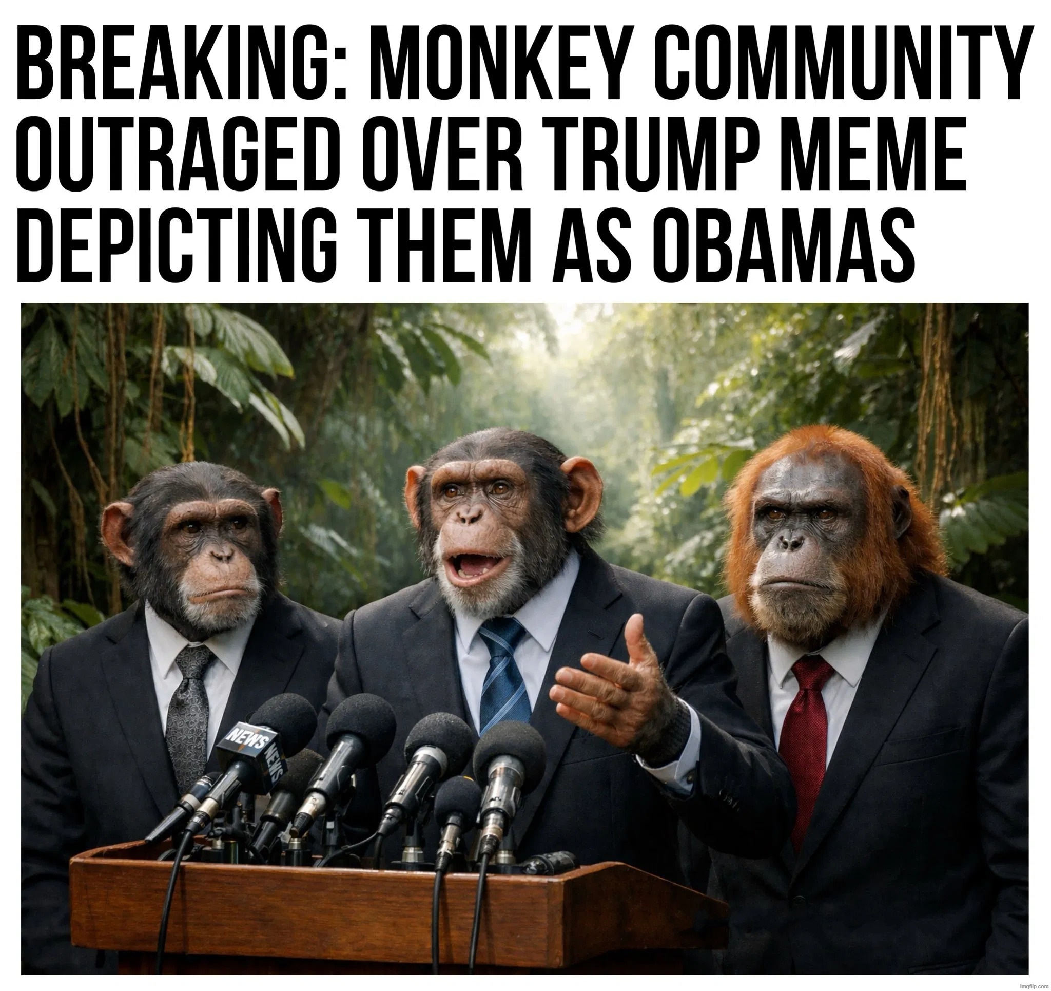 Call White people “monkey.” Call black people “monkey.” See who takes it personally. | image tagged in monkey business,shocked monkey,bubba and barack,barack obama,michelle obama,go home obama you're drunk | made w/ Imgflip meme maker