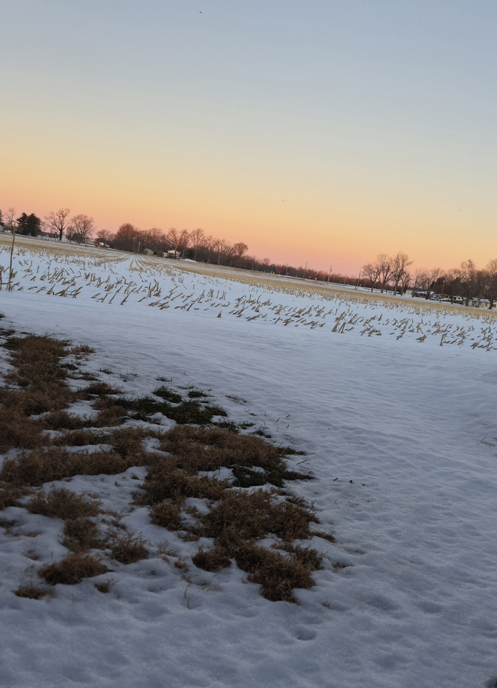 Ground Blank Meme Template