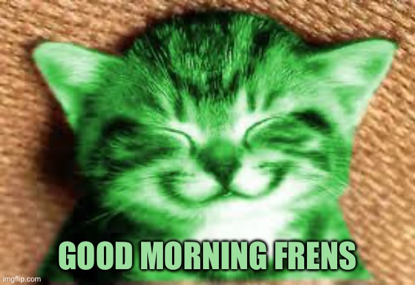 happy RayCat | GOOD MORNING FRENS | image tagged in happy raycat | made w/ Imgflip meme maker