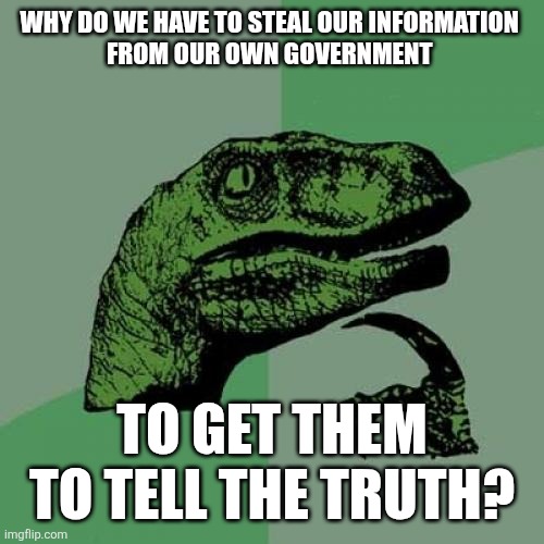 Philosoraptor | WHY DO WE HAVE TO STEAL OUR INFORMATION 
FROM OUR OWN GOVERNMENT; TO GET THEM TO TELL THE TRUTH? | image tagged in memes,philosoraptor | made w/ Imgflip meme maker