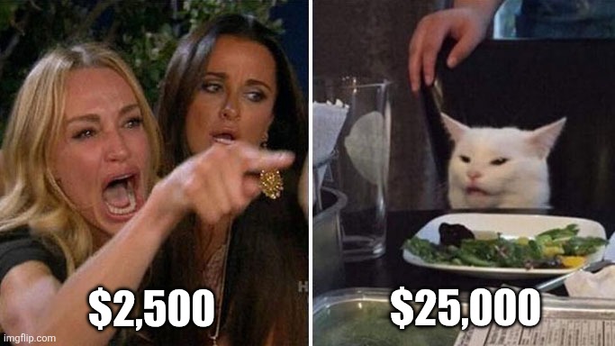 Angry lady cat | $2,500 $25,000 | image tagged in angry lady cat | made w/ Imgflip meme maker