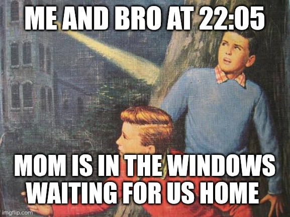 First meme | ME AND BRO AT 22:05; MOM IS IN THE WINDOWS WAITING FOR US HOME | image tagged in hardy boys | made w/ Imgflip meme maker