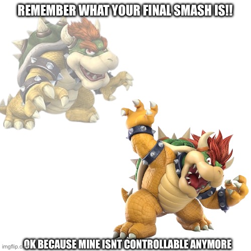 REMEMBER BOWSER! | REMEMBER WHAT YOUR FINAL SMASH IS!! OK BECAUSE MINE ISNT CONTROLLABLE ANYMORE | image tagged in memes,blank transparent square | made w/ Imgflip meme maker